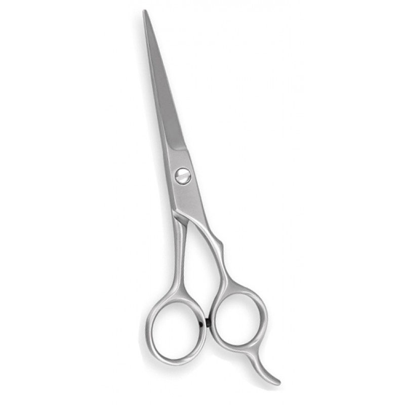 Hair Cutting Scissors
