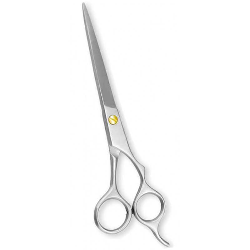 Hair Cutting Scissors