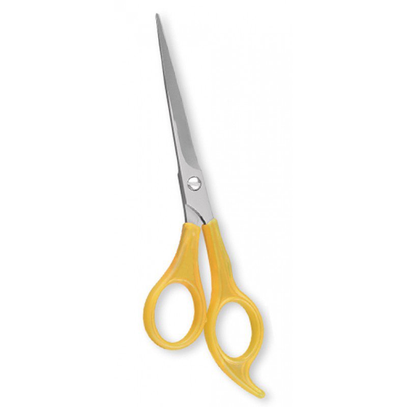 Plastic Handle Scissors