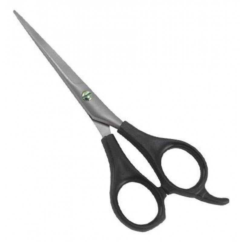 Plastic Handle Scissors