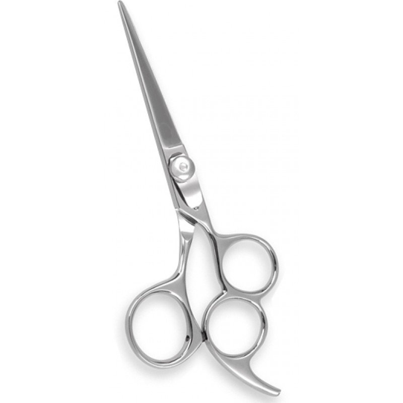 Professional Barber Shears