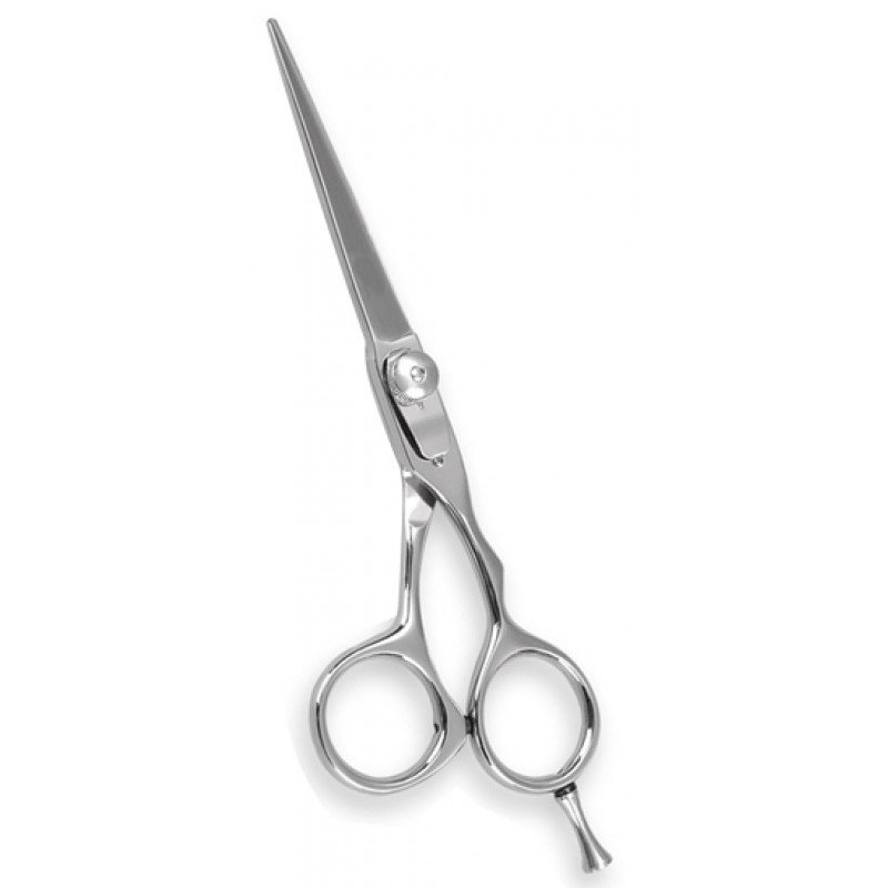 Professional Barber Shears