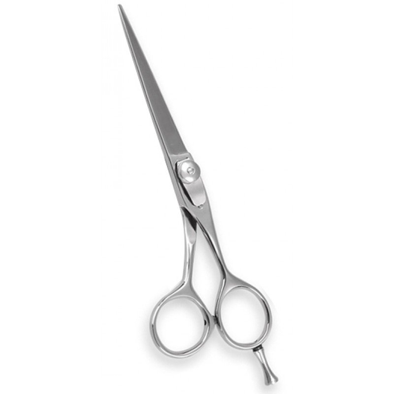 Professional Barber Shears