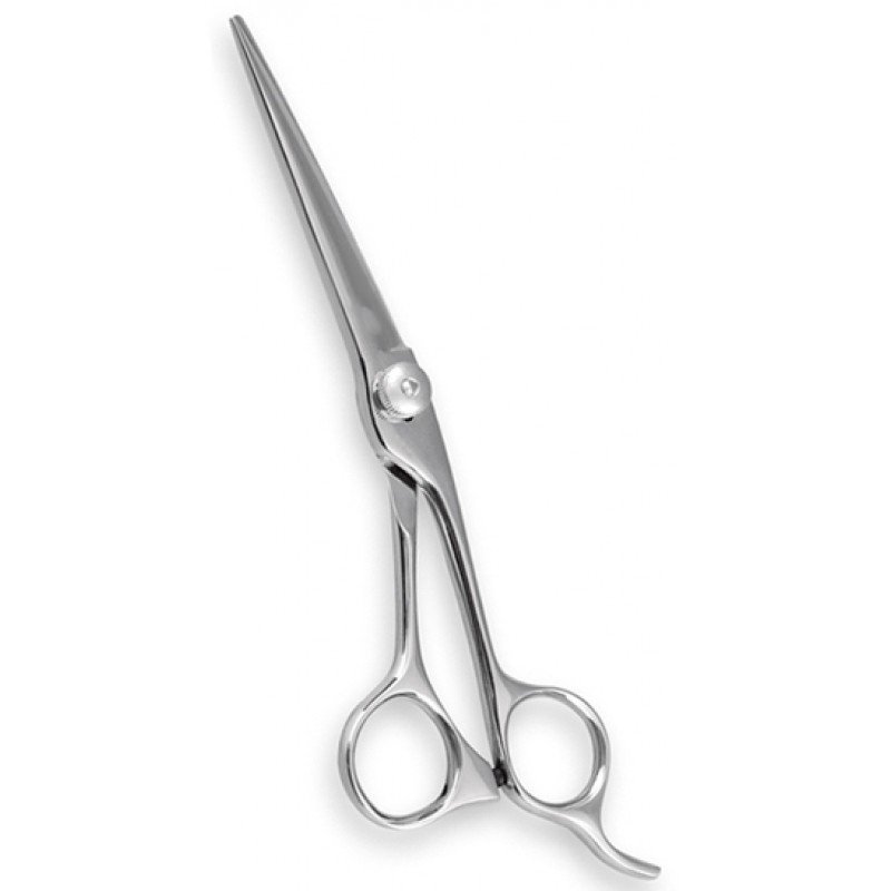 Professional Barber Shears