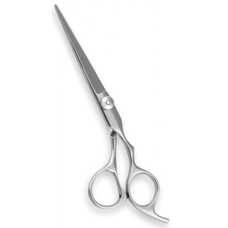 Professional Barber Shears