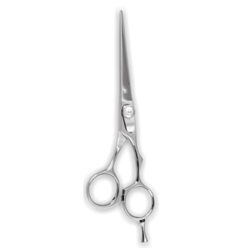 Professional Barber Shears